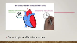 drug used in shock.pdf
