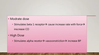 drug used in shock.pdf