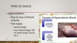 drug used in shock.pdf