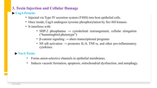 Drug use in Peptic Ulcer_A complete review.pptx