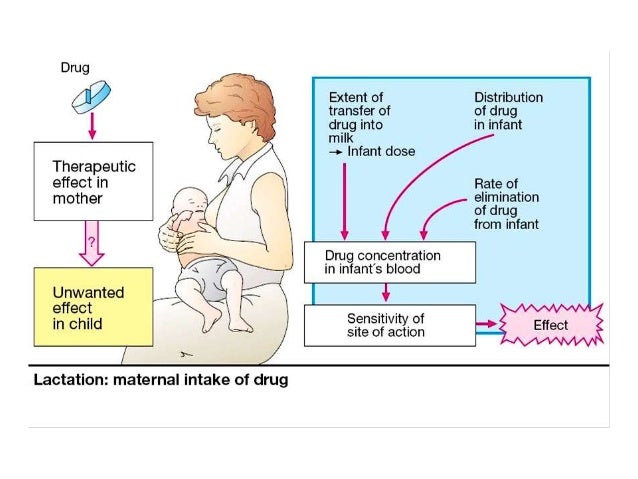 Drug use in pregnancy and lactation (3)