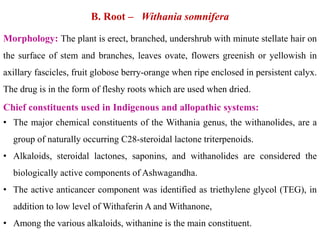 B. Root – Withania somnifera
Morphology: The plant is erect, branched, undershrub with minute stellate hair on
the surface of stem and branches, leaves ovate, flowers greenish or yellowish in
axillary fascicles, fruit globose berry-orange when ripe enclosed in persistent calyx.
The drug is in the form of fleshy roots which are used when dried.
Chief constituents used in Indigenous and allopathic systems:
• The major chemical constituents of the Withania genus, the withanolides, are a
group of naturally occurring C28-steroidal lactone triterpenoids.
• Alkaloids, steroidal lactones, saponins, and withanolides are considered the
biologically active components of Ashwagandha.
• The active anticancer component was identified as triethylene glycol (TEG), in
addition to low level of Withaferin A and Withanone,
• Among the various alkaloids, withanine is the main constituent.
 
