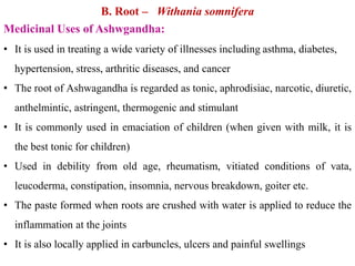 B. Root – Withania somnifera
Medicinal Uses of Ashwgandha:
• It is used in treating a wide variety of illnesses including asthma, diabetes,
hypertension, stress, arthritic diseases, and cancer
• The root of Ashwagandha is regarded as tonic, aphrodisiac, narcotic, diuretic,
anthelmintic, astringent, thermogenic and stimulant
• It is commonly used in emaciation of children (when given with milk, it is
the best tonic for children)
• Used in debility from old age, rheumatism, vitiated conditions of vata,
leucoderma, constipation, insomnia, nervous breakdown, goiter etc.
• The paste formed when roots are crushed with water is applied to reduce the
inflammation at the joints
• It is also locally applied in carbuncles, ulcers and painful swellings
 