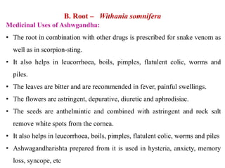 B. Root – Withania somnifera
Medicinal Uses of Ashwgandha:
• The root in combination with other drugs is prescribed for snake venom as
well as in scorpion-sting.
• It also helps in leucorrhoea, boils, pimples, flatulent colic, worms and
piles.
• The leaves are bitter and are recommended in fever, painful swellings.
• The flowers are astringent, depurative, diuretic and aphrodisiac.
• The seeds are anthelmintic and combined with astringent and rock salt
remove white spots from the cornea.
• It also helps in leucorrhoea, boils, pimples, flatulent colic, worms and piles
• Ashwagandharishta prepared from it is used in hysteria, anxiety, memory
loss, syncope, etc
 