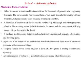 D. Leaf – Adhatoda zeylanica
Medicinal Uses of Adulsa:
• It has been used in traditional Indian medicine for thousands of years to treat respiratory
disorders. The leaves, roots, flowers, and bark of this plant is useful in treating asthma,
bronchitis, tuberculosis and other lung and bronchiole disorders.
• A decoction of the leaves of Vasaka may be used to help with cough and other symptoms
of colds. The soothing action helps irritation in the throat and the expectorant will help
loosen phlegm deposits in the throat.
• It has been used to control both internal and external bleeding such as peptic ulcers, piles
and bleeding gums.
• A poultice of its leaves can be applied with beneficial results over fresh wounds, rheumatic
joints and inflammatory swellings.
• The juice from its leaves should be given in doses of 2 to 4 grams in treating diarrhoea and
dysentery.
• A warm decoction of its leaves is useful in treating scabies and other skin diseases.
 