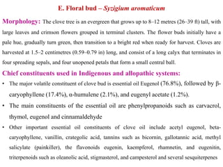 E. Floral bud – Syzigium aromaticum
Morphology: The clove tree is an evergreen that grows up to 8–12 metres (26–39 ft) tall, with
large leaves and crimson flowers grouped in terminal clusters. The flower buds initially have a
pale hue, gradually turn green, then transition to a bright red when ready for harvest. Cloves are
harvested at 1.5–2 centimetres (0.59–0.79 in) long, and consist of a long calyx that terminates in
four spreading sepals, and four unopened petals that form a small central ball.
Chief constituents used in Indigenous and allopathic systems:
• The major volatile constituent of clove bud is essential oil Eugenol (76.8%), followed by β-
caryophyllene (17.4%), α-humulene (2.1%), and eugenyl acetate (1.2%).
• The main constituents of the essential oil are phenylpropanoids such as carvacrol,
thymol, eugenol and cinnamaldehyde
• Other important essential oil constituents of clove oil include acetyl eugenol, beta-
caryophyllene, vanillin, crategolic acid, tannins such as bicornin, gallotannic acid, methyl
salicylate (painkiller), the flavonoids eugenin, kaempferol, rhamnetin, and eugenitin,
triterpenoids such as oleanolic acid, stigmasterol, and campesterol and several sesquiterpenes
 