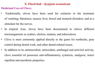 E. Floral bud – Syzigium aromaticum
Medicinal Uses of Clove:
• Traditionally, cloves have been used for centuries in the treatment
of vomiting; flatulence; nausea; liver, bowel and stomach disorders; and as a
stimulant for the nerves.
• In tropical Asia, cloves have been documented to relieve different
microorganisms as scabies, cholera, malaria, and tuberculosis.
• Clove is most commonly applied directly to the gums for toothache, pain
control during dental work, and other dental-related issues.
• In addition to its antimicrobial, antioxidant, antifungal and antiviral activity,
clove essential oil possesses anti-inflammatory, cytotoxic, analgesic, insect
repellent and anesthetic properties.
 