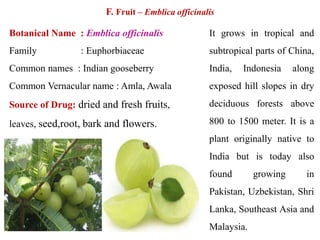 F. Fruit – Emblica officinalis
Botanical Name : Emblica officinalis
Family : Euphorbiaceae
Common names : Indian gooseberry
Common Vernacular name : Amla, Awala
Source of Drug: dried and fresh fruits,
leaves, seed,root, bark and flowers.
It grows in tropical and
subtropical parts of China,
India, Indonesia along
exposed hill slopes in dry
deciduous forests above
800 to 1500 meter. It is a
plant originally native to
India but is today also
found growing in
Pakistan, Uzbekistan, Shri
Lanka, Southeast Asia and
Malaysia.
 