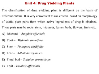 Unit 4: Drug Yielding Plants
The classification of drug yielding plant is different on the basis of
different criteria. It is very convenient to use criteria based on morphology
of useful plant parts from which active ingredients of drug is obtained.
These parts may be roots, stem, rhizomes, leaves, buds, flowers, fruits etc.
A) Rhizome – Zingiber officinale
B) Root – Withania somnifera
C) Stem – Tinospora cordifolia
D) Leaf – Adhatoda zeylanica.
E) Floral bud – Syzigium aromaticum
F) Fruit – Emblica officinalis
 