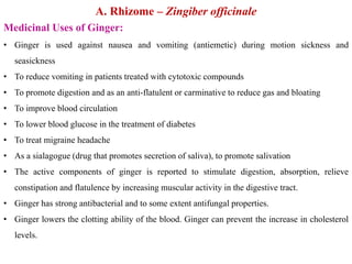 A. Rhizome – Zingiber officinale
Medicinal Uses of Ginger:
• Ginger is used against nausea and vomiting (antiemetic) during motion sickness and
seasickness
• To reduce vomiting in patients treated with cytotoxic compounds
• To promote digestion and as an anti-flatulent or carminative to reduce gas and bloating
• To improve blood circulation
• To lower blood glucose in the treatment of diabetes
• To treat migraine headache
• As a sialagogue (drug that promotes secretion of saliva), to promote salivation
• The active components of ginger is reported to stimulate digestion, absorption, relieve
constipation and flatulence by increasing muscular activity in the digestive tract.
• Ginger has strong antibacterial and to some extent antifungal properties.
• Ginger lowers the clotting ability of the blood. Ginger can prevent the increase in cholesterol
levels.
 