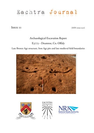 Eachtra Journal

Issue 11                                                     [ISSN 2009-2237]




                  Archaeological Excavation Report
                    E3773 - Drumroe, Co. Offaly
Late Bronze Age structure, Iron Age pits and late medieval field boundaries
 