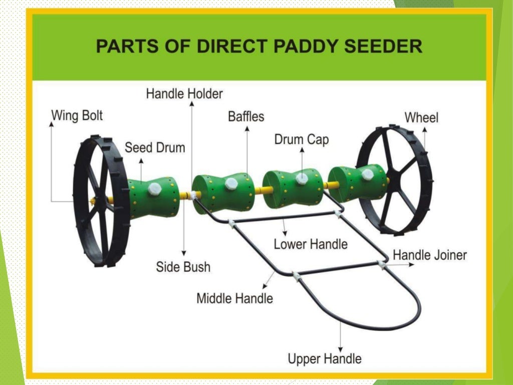 Working function of Drum Seeder for direct seeding of paddy