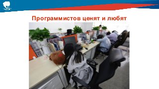 Программистов ценят и любят
 