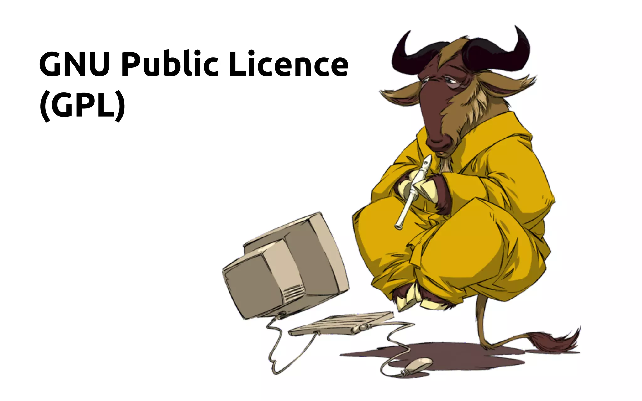 GNU Public Licence 
(GPL) 
 