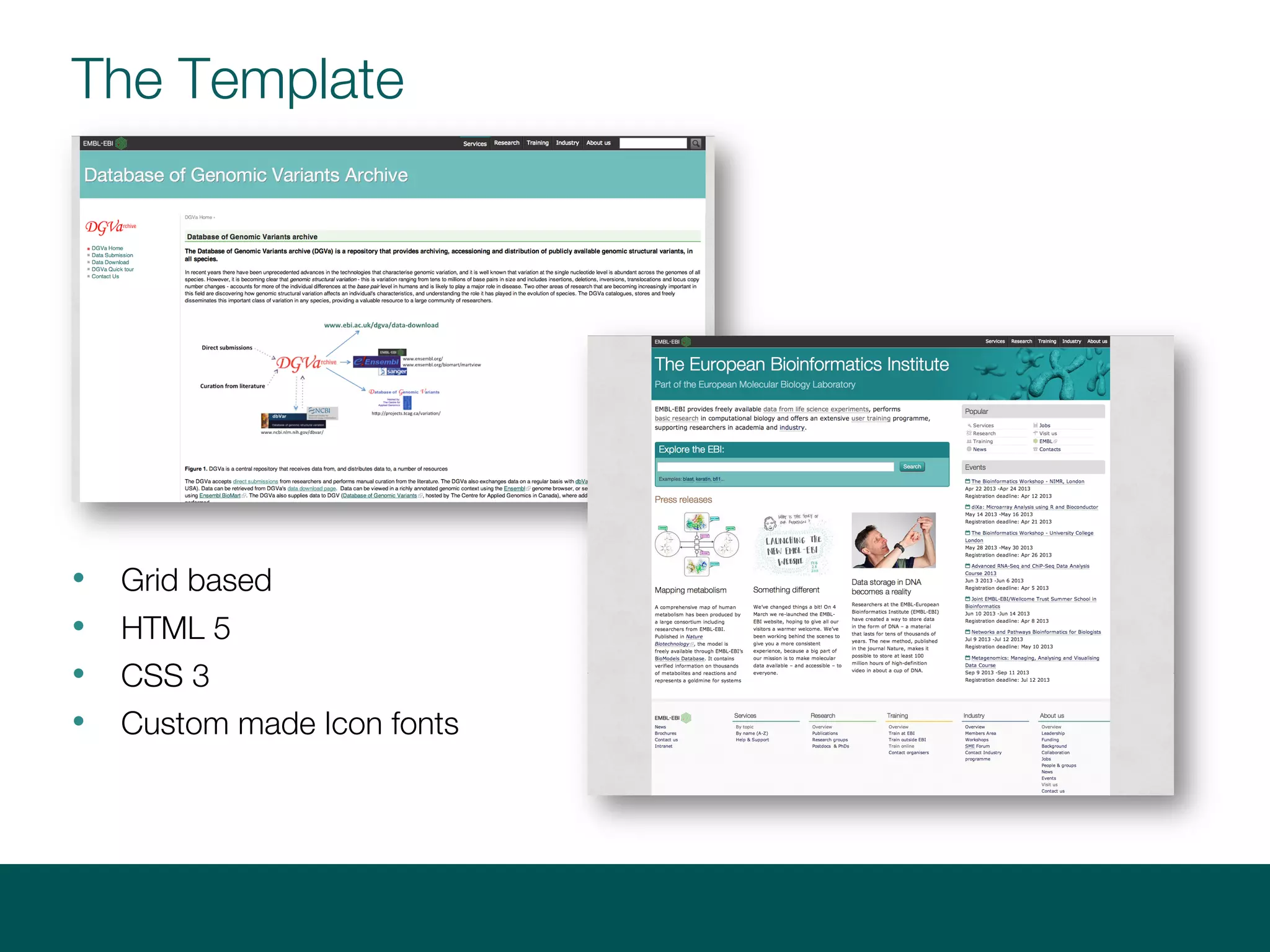 The Template
• Grid based
• HTML 5
• CSS 3
• Custom made Icon fonts
 