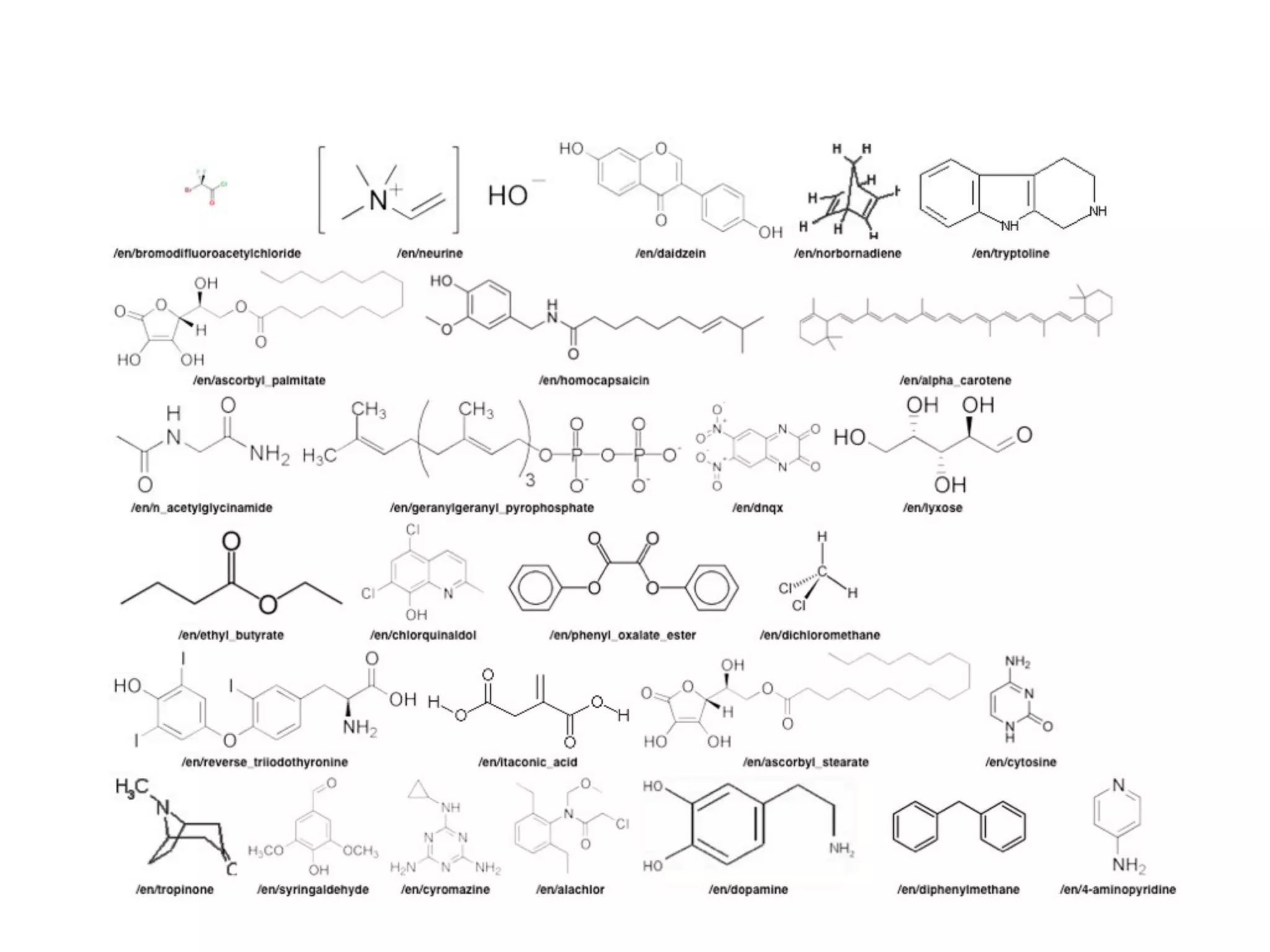 Drupal and the Semantic Web