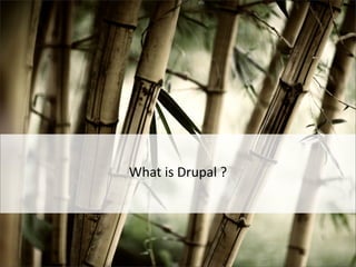 What	
  is	
  Drupal	
  ?
 