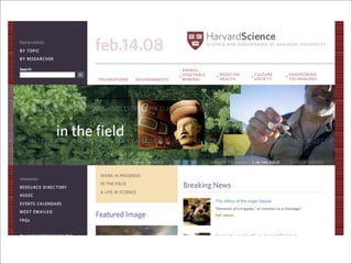 drupal: ligando os nos da rede