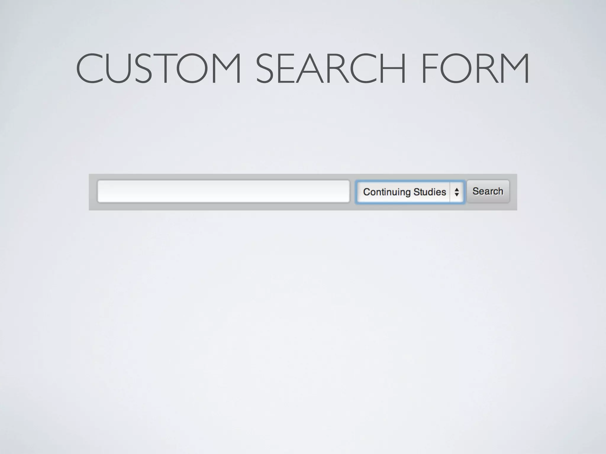 CUSTOM SEARCH FORM
 