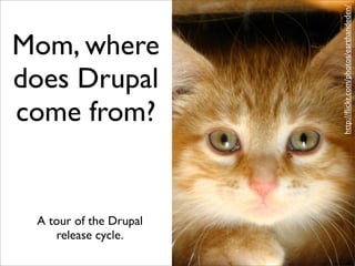 Drupal 7