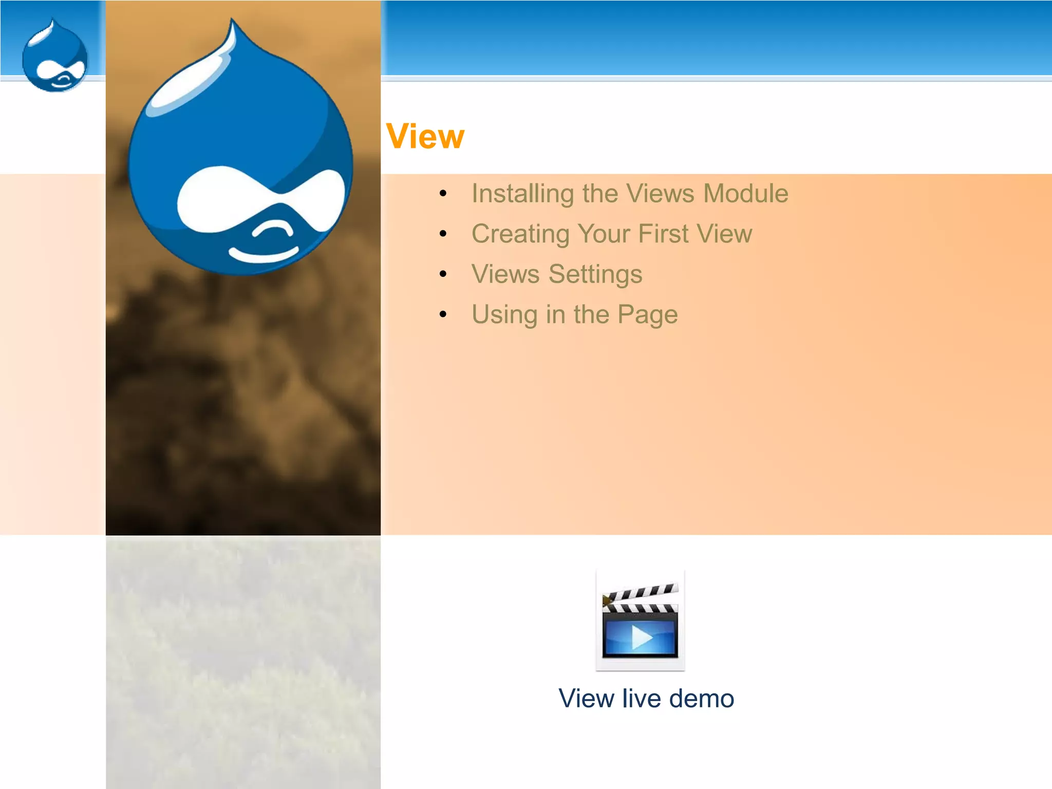 View
• Installing the Views Module
• Creating Your First View
• Views Settings
• Using in the Page
View live demo
 