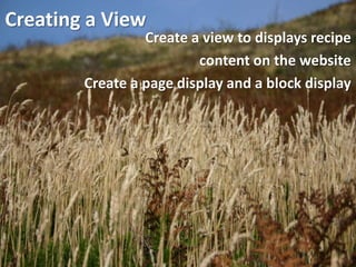 Creating a View
                 Create a view to displays recipe
                         content on the website
        Create a page display and a block display
 