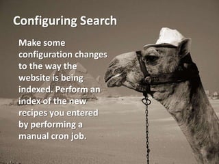 Configuring Search
Make some
configuration changes
to the way the
website is being
indexed. Perform an
index of the new
recipes you entered
by performing a
manual cron job.
 