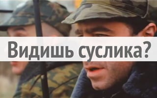 Пётр Селфин — Шок! Drupal 8 Против SEO! Без Регистрации И SMS.