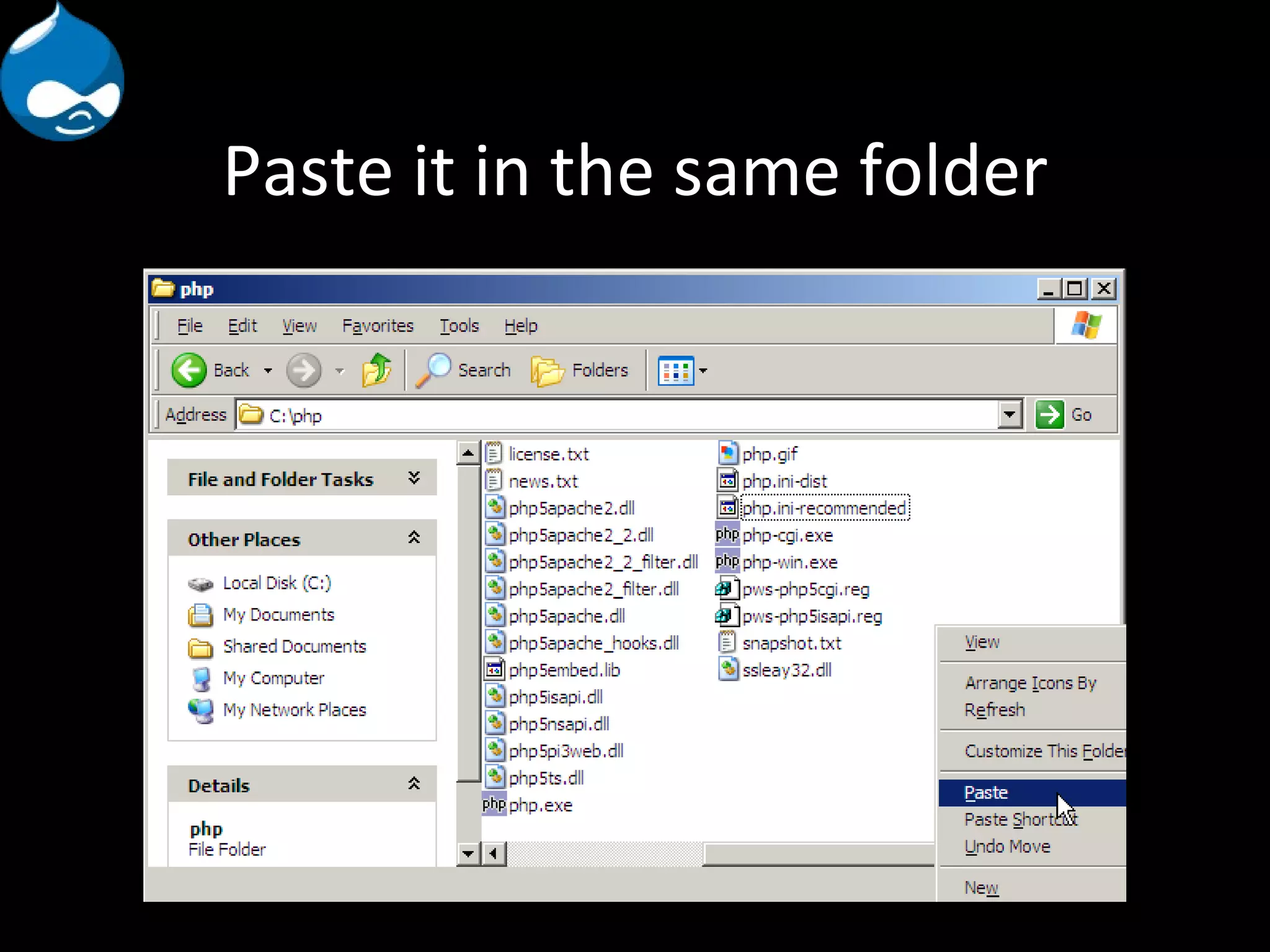 Paste it in the same folder 