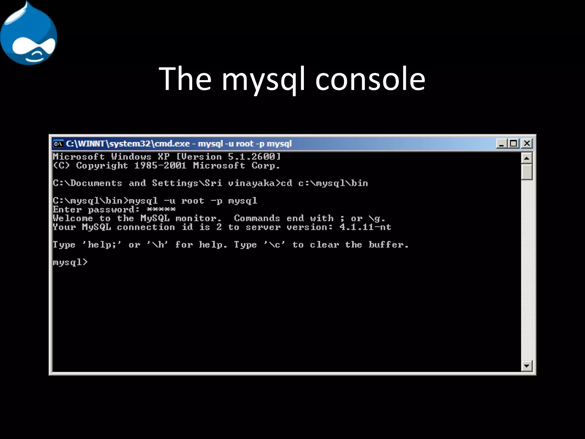 The mysql console 