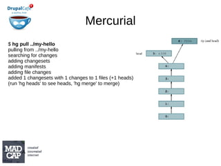 hg clone repo repo_clone 