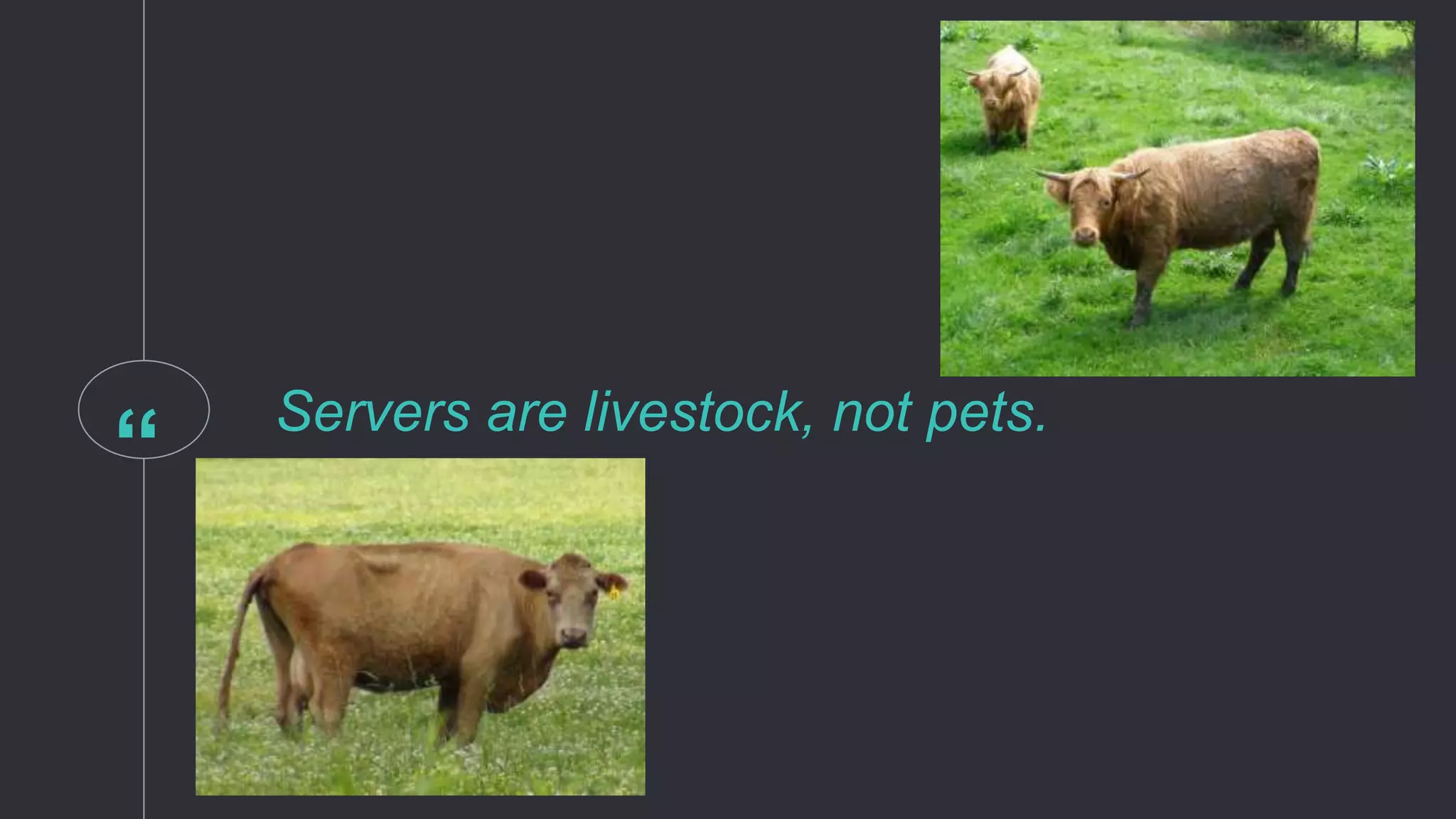“ Servers are livestock, not pets.
 