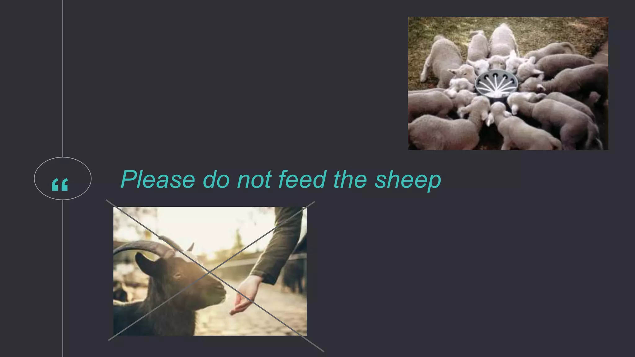 “ Please do not feed the sheep
 