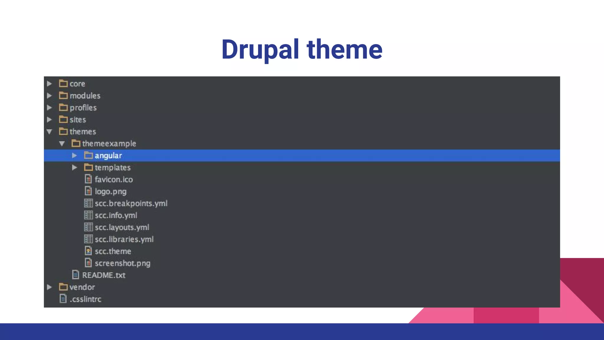 Drupal theme
 