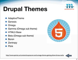 Drupal Themes
• AdaptiveTheme
• Genesis
• Omega
• Gamma (Omega sub theme)
• HTML5 Base
• Beta (Omega sub theme)
• Boron
• Zentropy
• Plink

http://www.qemist.us/content/acquiacom-and-omega-theme-getting-down-brass-tacks

                                                                                  47
 