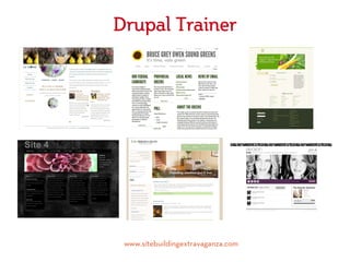 Drupal Trainer




 www.sitebuildingextravaganza.com
 