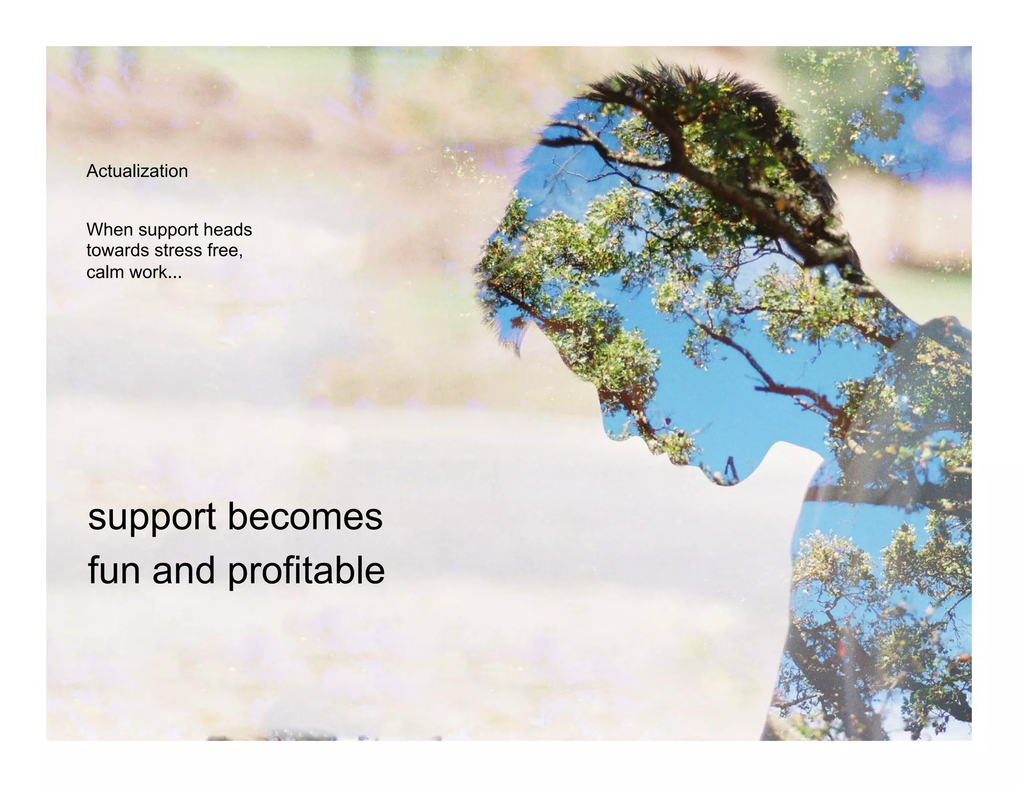 Actualization
When support heads
towards stress free,
calm work...
support becomes
fun and profitable
 