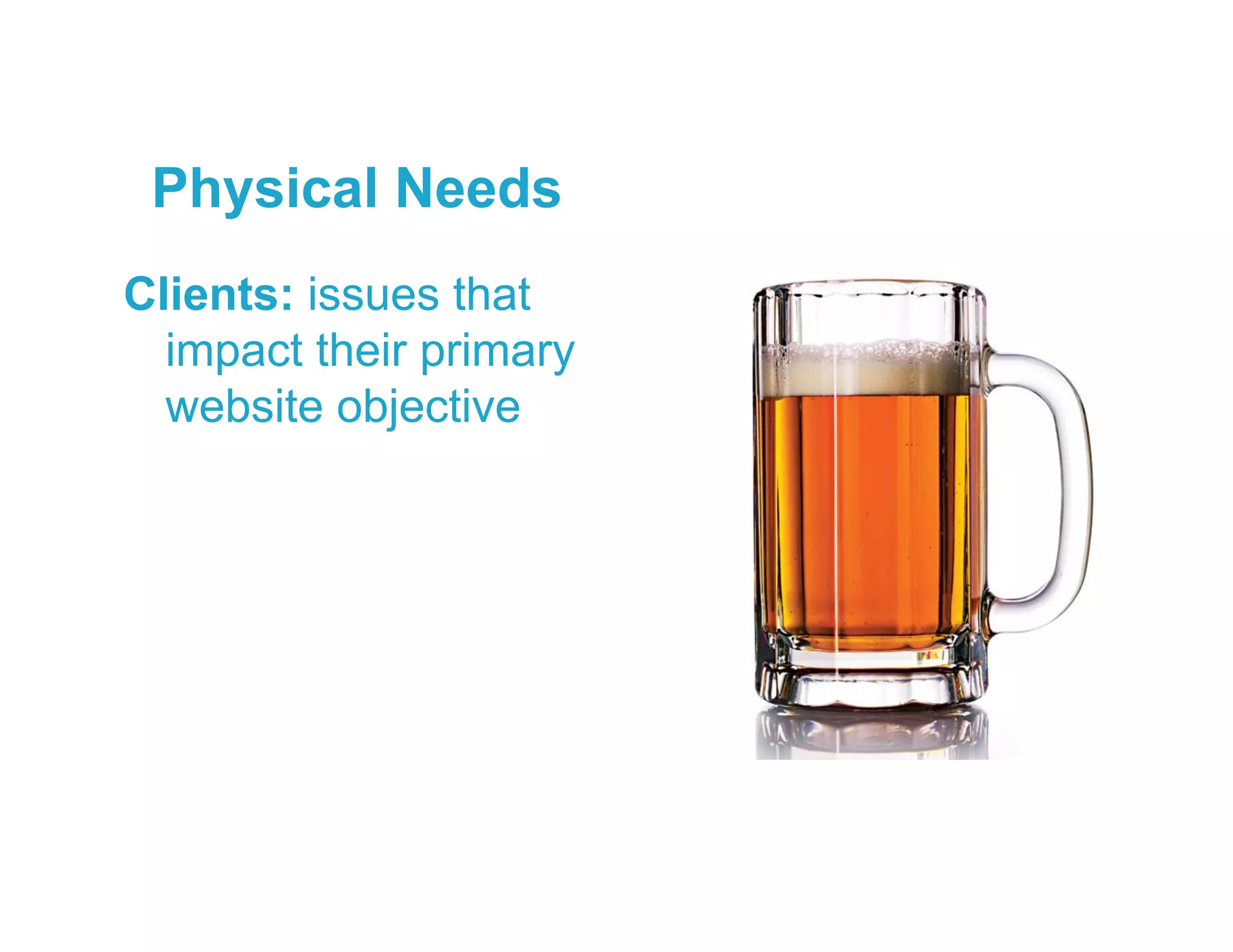 Physical Needs
Clients: issues that
impact their primary
website objective
 