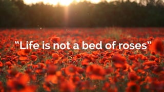 “Life is not a bed of roses”
 