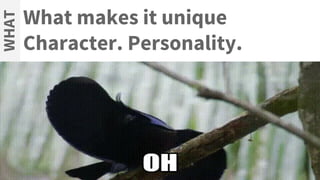 What makes it unique
Character. Personality.
WHAT
 