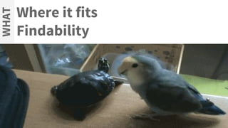 Where it fits
Findability
WHAT
 
