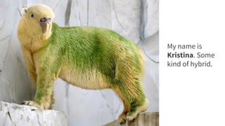 My name is
Kristina. Some
kind of hybrid.
 