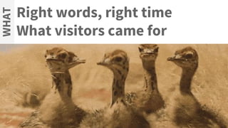 Right words, right time
What visitors came for
WHAT
 