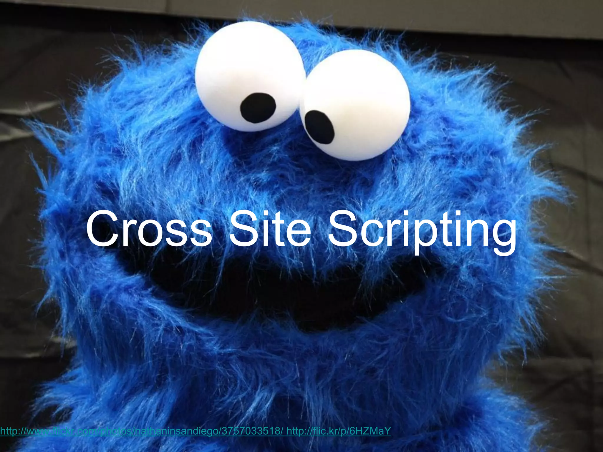 http://www.flickr.com/photos/nathaninsandiego/3757033518/ http://flic.kr/p/6HZMaY
Cross Site Scripting
 