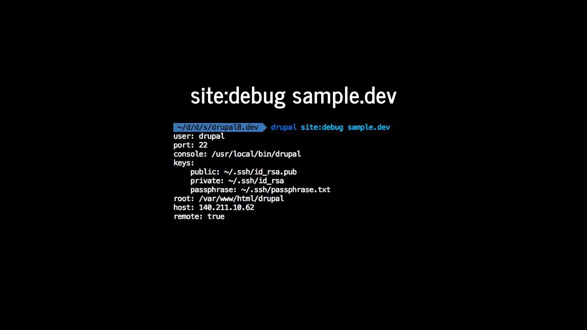site:debug	sample.dev
 