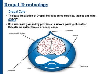 Drupal Content Management System | ODP