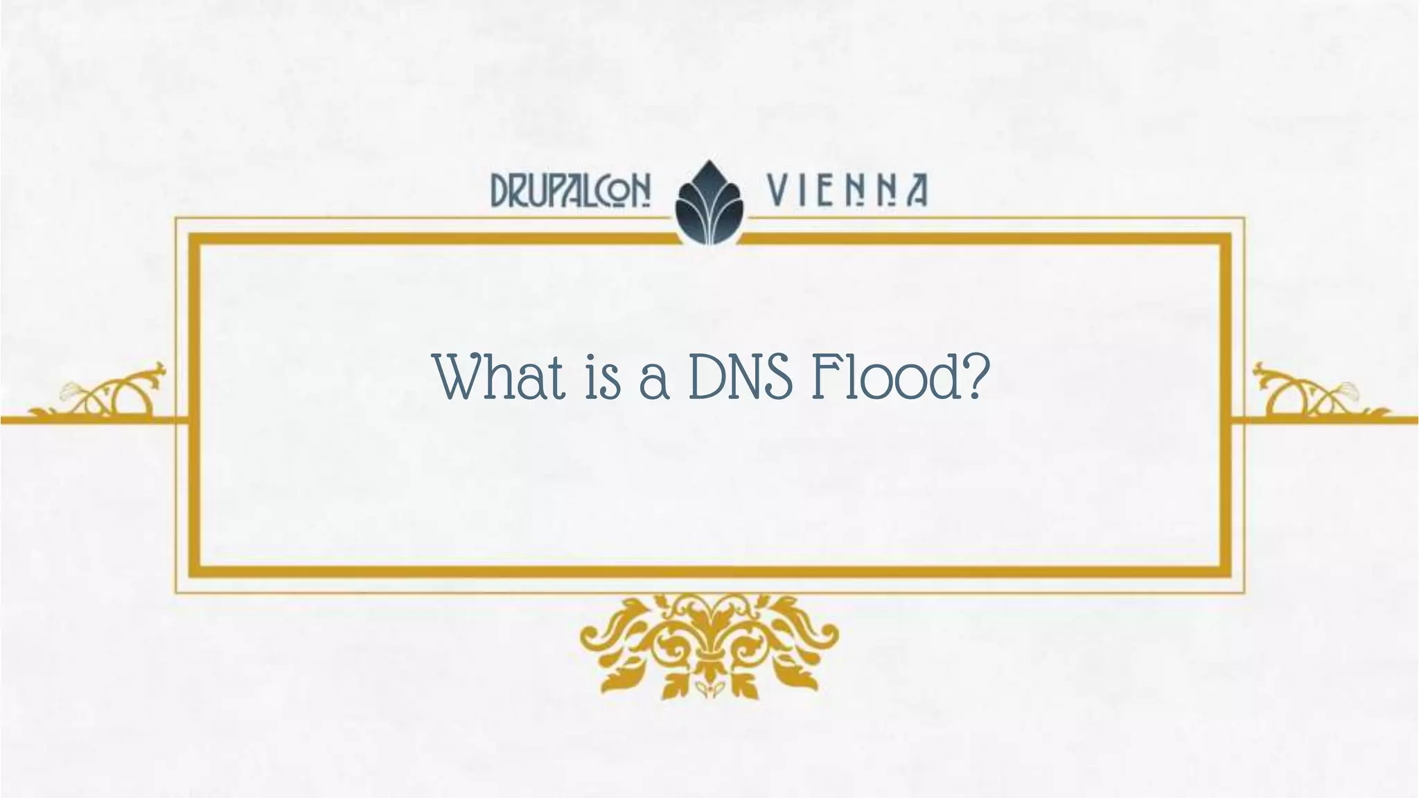 What is a DNS Flood?
 