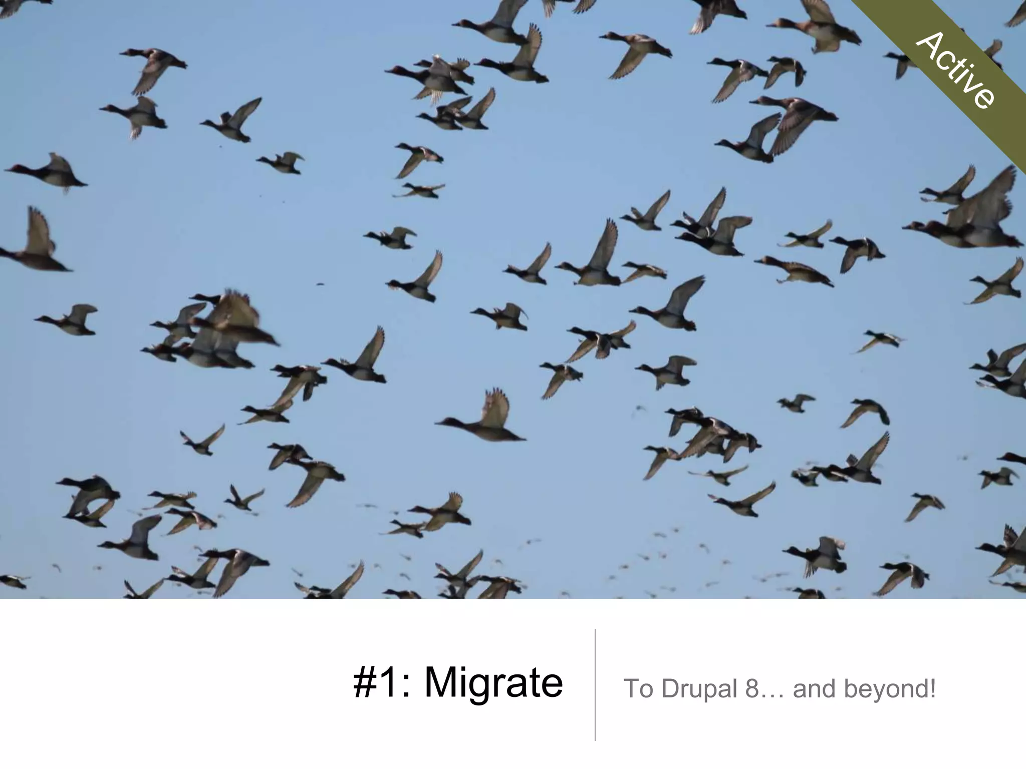 #1: Migrate To Drupal 8… and beyond!
 