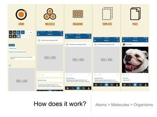 How does it work? Atoms > Molecules > Organisms
 