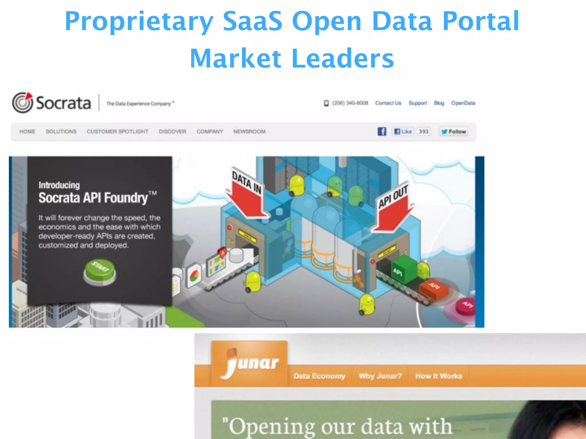 Proprietary SaaS Open Data Portal
Market Leaders
 